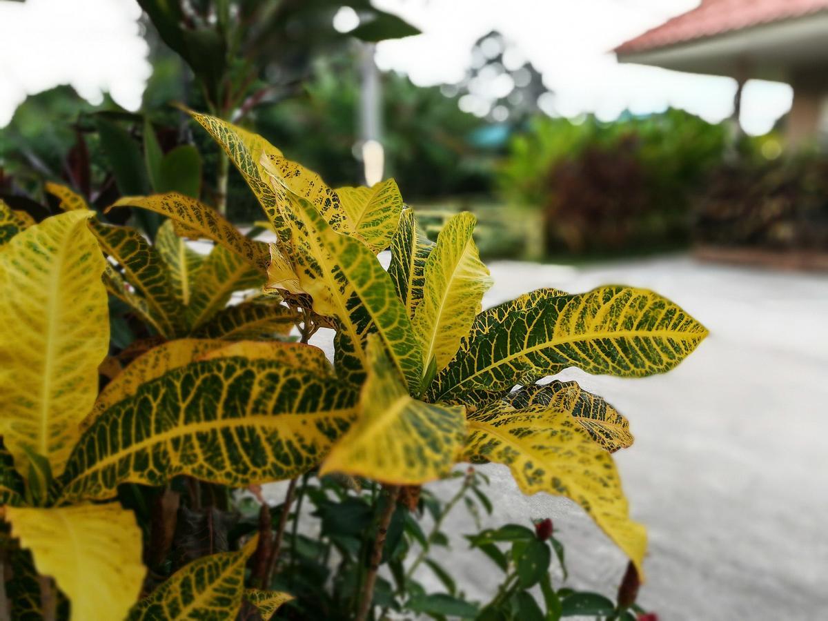 Deva Garden Resort Prachinburi Exterior foto